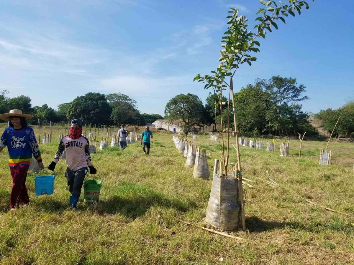 Community planting fruit trees in San Marcelino, Zambales - April 2026