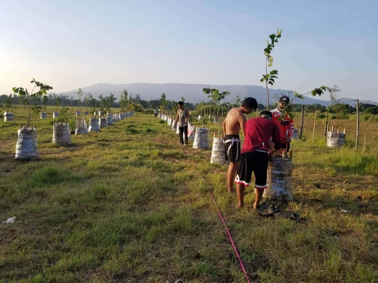 Group of people planting trees in an open field with mountains in the background during a community reforestation activity in San Marcelino, Zambales